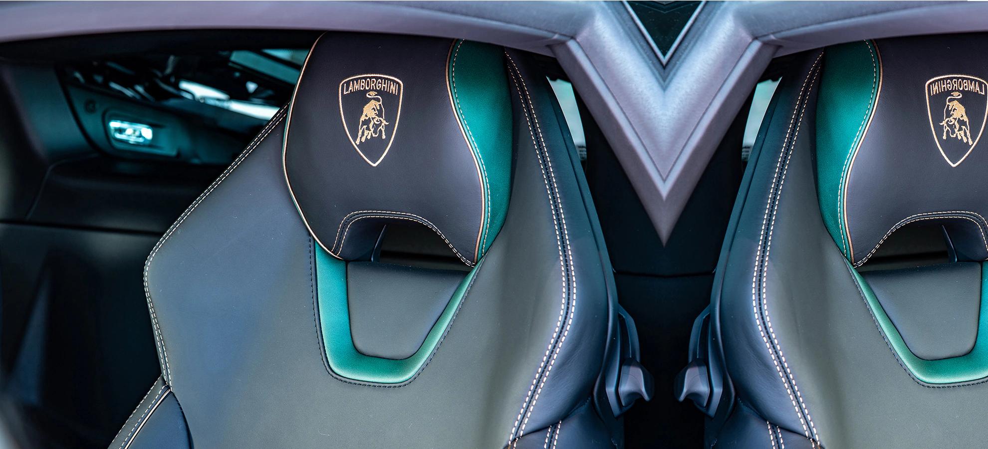 image-seperator-top-image