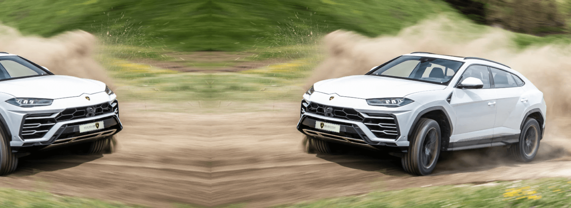 image-seperator-bottom-image